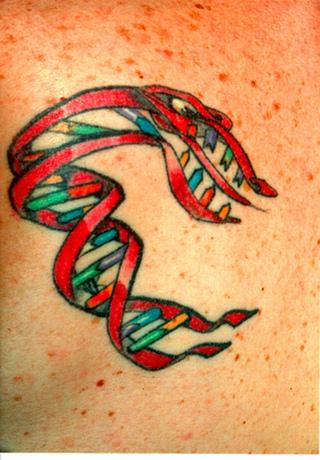 Tatuajes científicos sólo para los más frikis