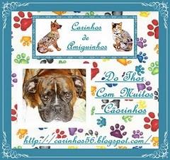 Curiosidades: Optometrista crea las primeras lentes de contacto con diamantes incrustados y chapadas en oro de 18 quilates Curiosidades: Optometrista crea las primeras lentes de contacto con diamantes incrustados y chapadas en oro de 18 quilates