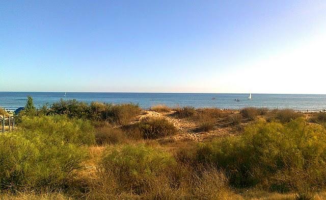 Adios al Verano y al Mar ...