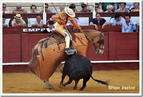 telito-caballo telito-caballo