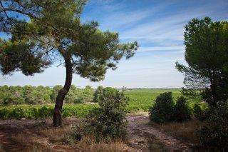 Finca la Colina Finca la Colina