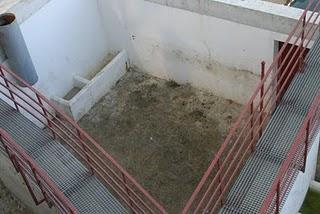 ¿QUIÉN LIMPIA LA PLAZA DE TOROS DE PRIEGO? ¿QUIÉN LIMPIA LA PLAZA DE TOROS DE PRIEGO?