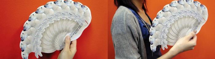 Abanicos de animales contra el calentamiento global Abanicos de animales contra el calentamiento global