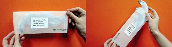 Abanicos de animales contra el calentamiento global Abanicos de animales contra el calentamiento global