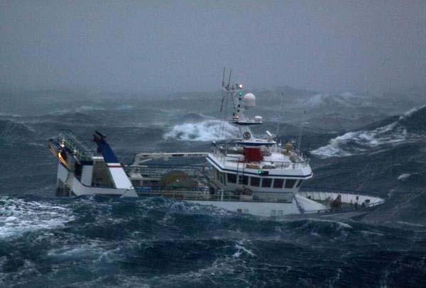 barco pesquero faenando