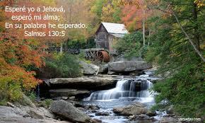 Sus Sueños Sus Sueños