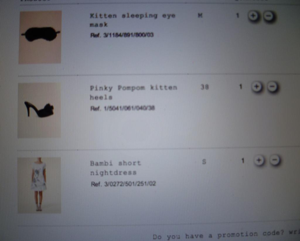 INDITEX IS ON THE NET INDITEX IS ON THE NET