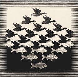 Destripar libros Destripar libros