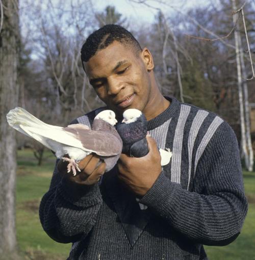 Mike Tyson