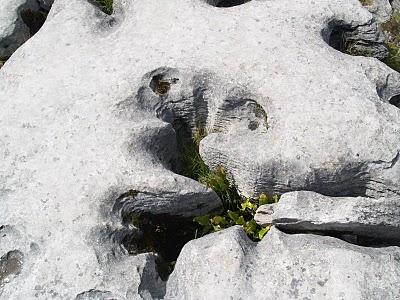 Por el Condado de Clare: El Burren y los Acantilados de Moher