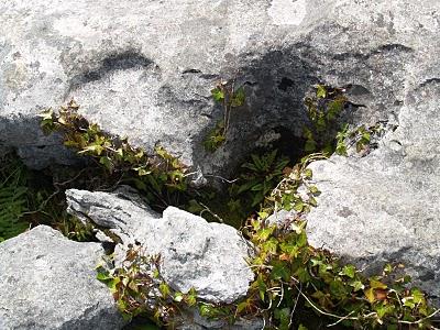 Por el Condado de Clare: El Burren y los Acantilados de Moher