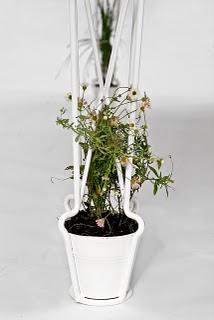 Plantable, crear una mesa viva Plantable, crear una mesa viva