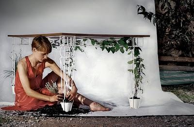 Plantable, crear una mesa viva Plantable, crear una mesa viva
