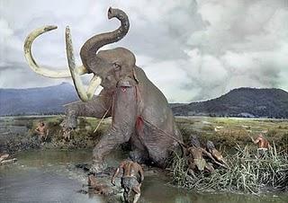 La caza en la prehistoria La caza en la prehistoria