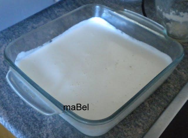Crema de leche o nata casera para cocinar Crema de leche o nata casera para cocinar