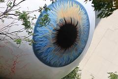 Los circuitos visuales del cerebro corrigen los errores al vuelo Los circuitos visuales del cerebro corrigen los errores al vuelo