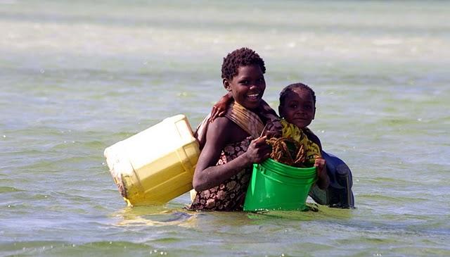 Ilha de Mozambique