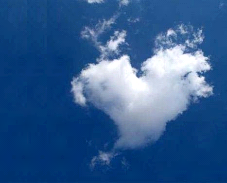 Día Mundial del Corazón (29 de septiembre) Día Mundial del Corazón (29 de septiembre)