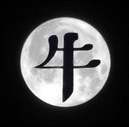 Los Poderes Misticos Nativos. Los Poderes Misticos Nativos.