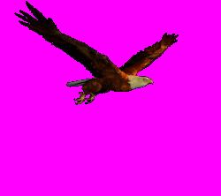 Los Poderes Misticos Nativos. Los Poderes Misticos Nativos.