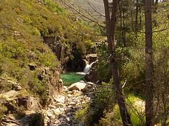 Parque Xurés - Baixo Limia (Galicia y Portugal) BaixoLimia_07_026_HPIM2439