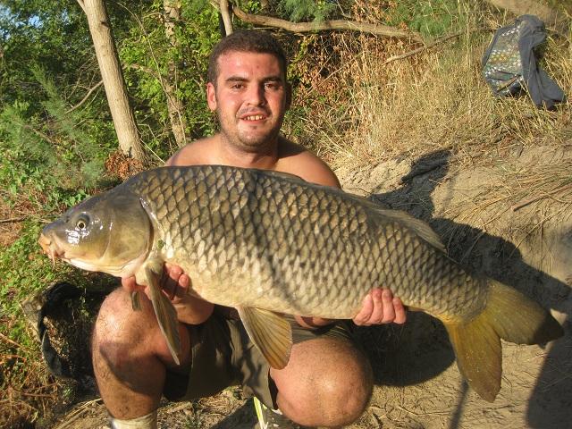 CARPA PELLETS SILUROS Y CARPAS