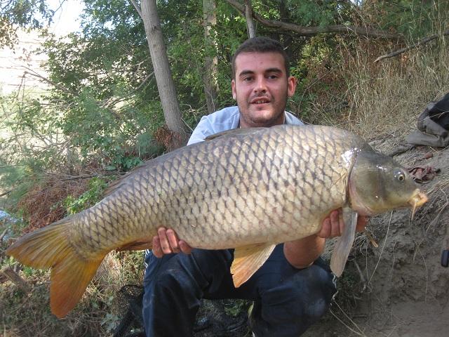 CARPFISHING PELLETS SILUROS Y CARPAS