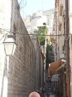 Dubrovnik, con razón la perla del Adriático. Dubrovnik, con razón la perla del Adriático.