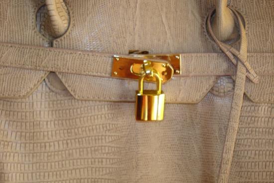 Birkin y Mi Clon Birkin y Mi Clon