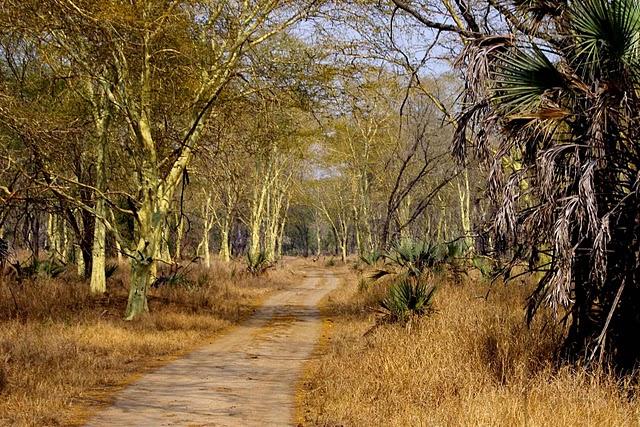 Parque Nacional de Gorongosa