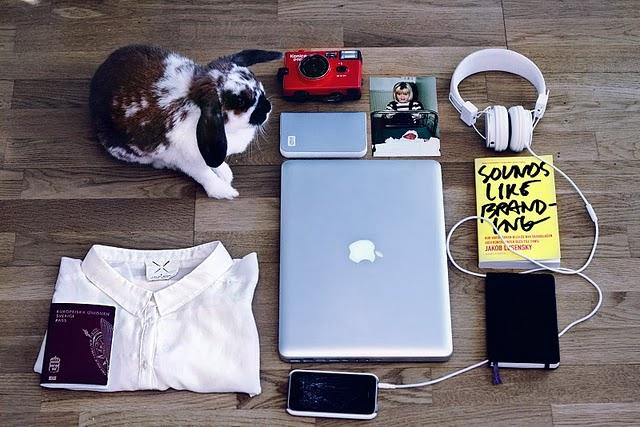 The Burning House The Burning House