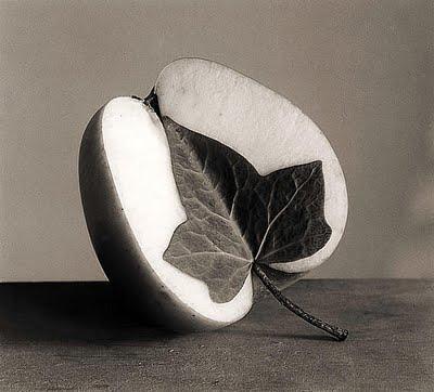 Chema Madoz: El poeta visual.