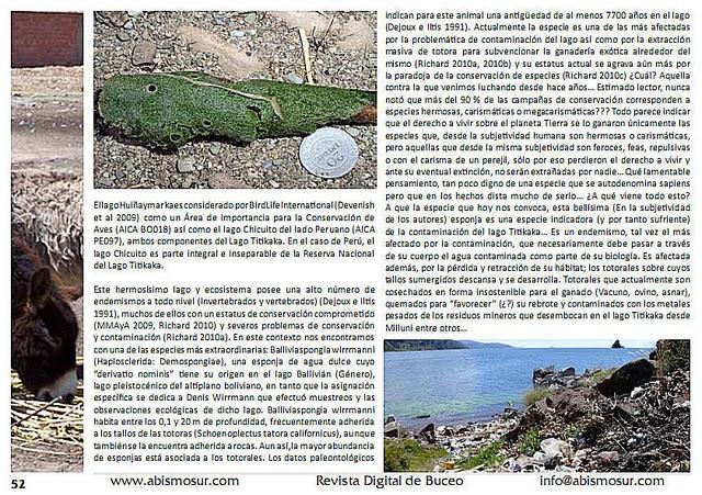 Trabajo de investigación publicado en la Revista de Divulgación de Biología Acuática y Buceo AbismoSur (Argentina): Las esponjas del Titicaca… Trabajo de investigación publicado en la Revista de Divulgación de Biología Acuática y Buceo AbismoSur (Argentina): Las esponjas del Titicaca…