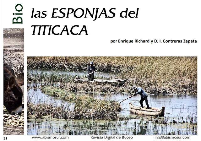 Trabajo de investigación publicado en la Revista de Divulgación de Biología Acuática y Buceo AbismoSur (Argentina): Las esponjas del Titicaca… Trabajo de investigación publicado en la Revista de Divulgación de Biología Acuática y Buceo AbismoSur (Argentina): Las esponjas del Titicaca…