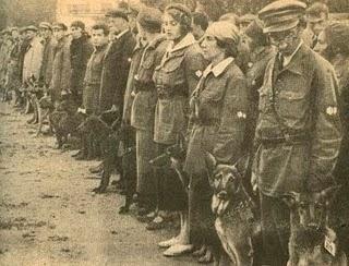 Los soviéticos se enfrentan a los Panzer con perros suicidas - 03/10/1941. Los soviéticos se enfrentan a los Panzer con perros suicidas - 03/10/1941.