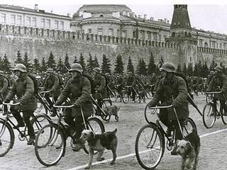 Los soviéticos se enfrentan a los Panzer con perros suicidas - 03/10/1941. Los soviéticos se enfrentan a los Panzer con perros suicidas - 03/10/1941.
