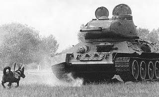 Los soviéticos se enfrentan a los Panzer con perros suicidas - 03/10/1941. Los soviéticos se enfrentan a los Panzer con perros suicidas - 03/10/1941.