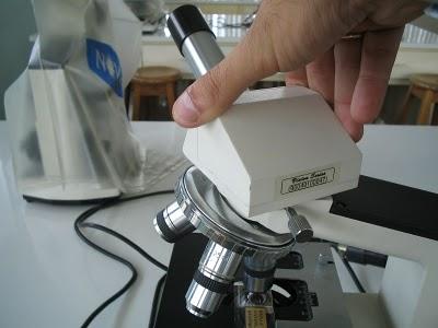 Partes del Microscopio óptico y su función Partes del Microscopio óptico y su función