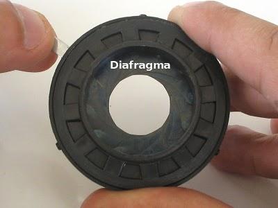 Partes del Microscopio óptico y su función Partes del Microscopio óptico y su función