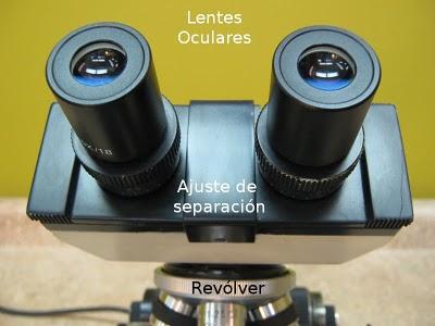Partes del Microscopio óptico y su función