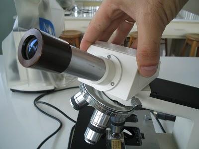 Partes del Microscopio óptico y su función Partes del Microscopio óptico y su función