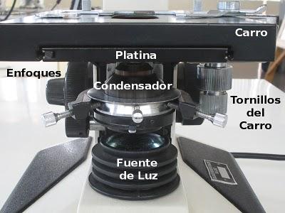 Partes del Microscopio óptico y su función Partes del Microscopio óptico y su función