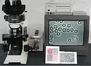 Tipos de Microscopios ópticos Tipos de Microscopios ópticos