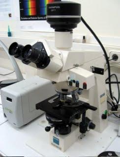 Tipos de Microscopios ópticos Tipos de Microscopios ópticos