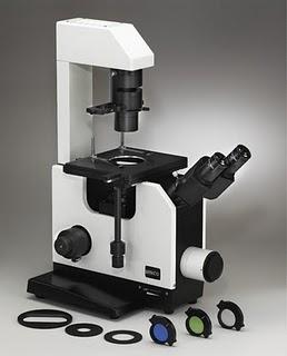 Tipos de Microscopios ópticos Tipos de Microscopios ópticos