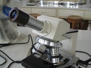 Tipos de Microscopios ópticos Tipos de Microscopios ópticos