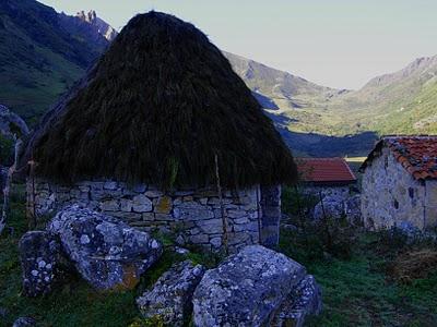 lago bueno