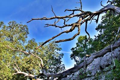 Aitzmalkor..... lágrimas de roca en la montaña Aitzmalkor..... lágrimas de roca en la montaña
