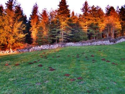 De montículos, karst & satorrak De montículos, karst & satorrak