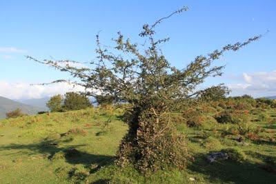De montículos, karst & satorrak De montículos, karst & satorrak